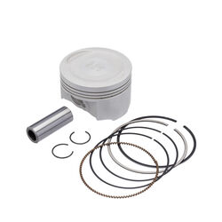 Kit Pistão com Anel 0.25