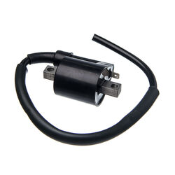 Bobina de Ignição 12V