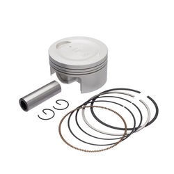 Kit Pistão com Anel 0.25