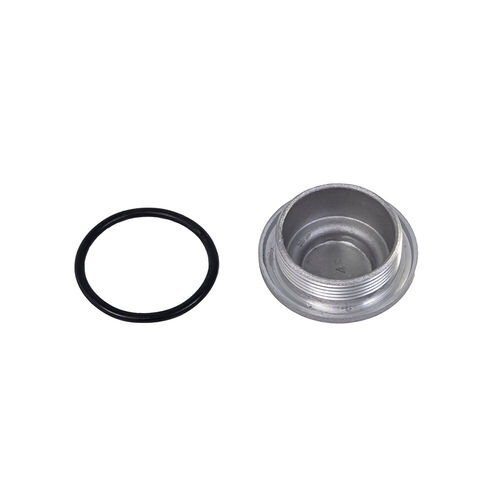 Tampa (Parafuso Bujão 32 mm) do Gerador Lateral Esquerdo do Motor
