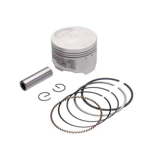 Kit Pistão com Anel 0.25