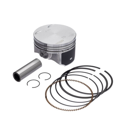 Kit Pistão com Anel 0.25